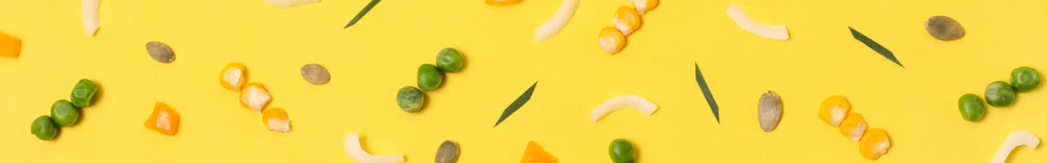 APPETIZER CONTINENTAL - VEG placeholder